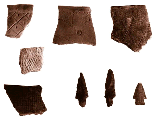 Troyville-Coles Creek Sherds