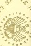 Picture #4