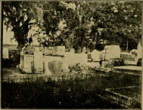 picture6