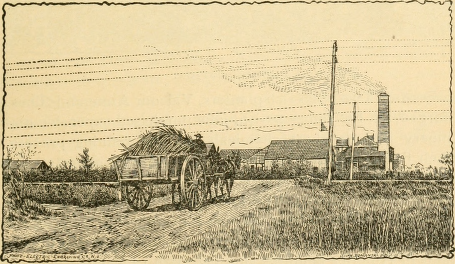 Picture #39