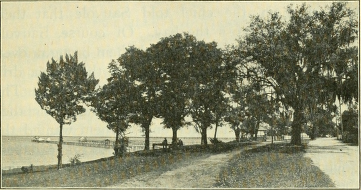 Picture #20