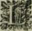 picture6