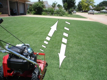 mow in rows