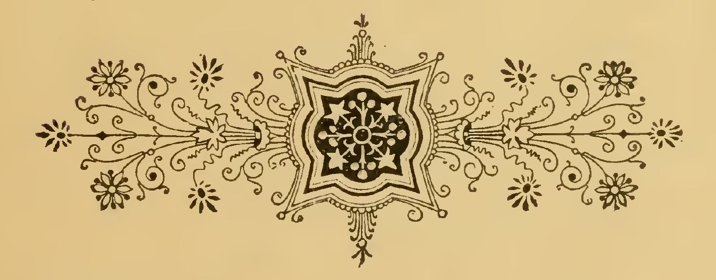 Flower Page Divider